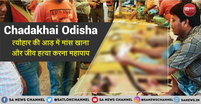 Chadakhai Odisha त्योहार की आड़ में मांस खाना व जीव हत्या महापाप