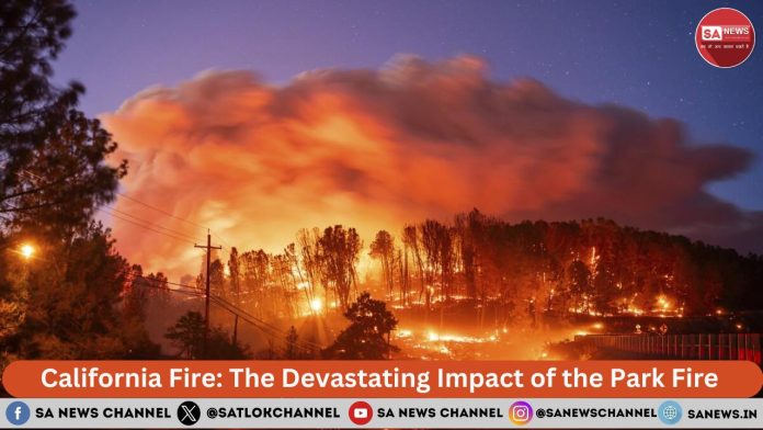 California Fire The Devastating Impact of the Park Fire